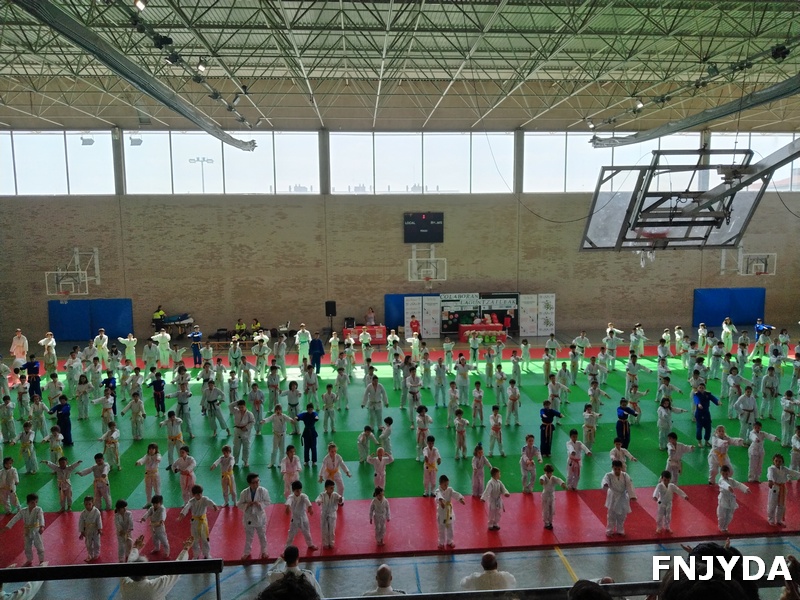 Gran participaci&oacute;n y buen ambiente en los Juegos Infantiles de Judo. Pamplona 30-05-26. FOTOS.